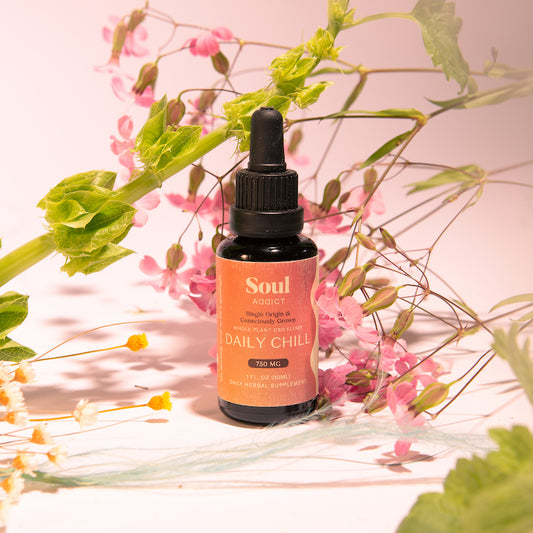The Daily Chill CBD Oil